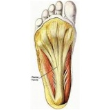 podólogo para fascite plantar Ipiranga